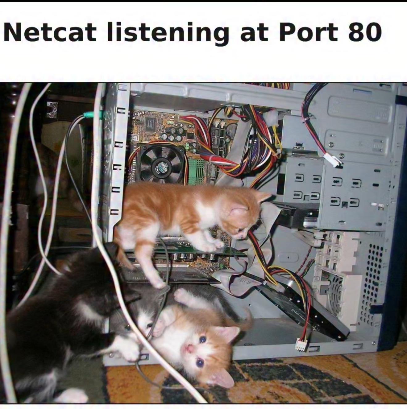 Netcat listening at Port 80
