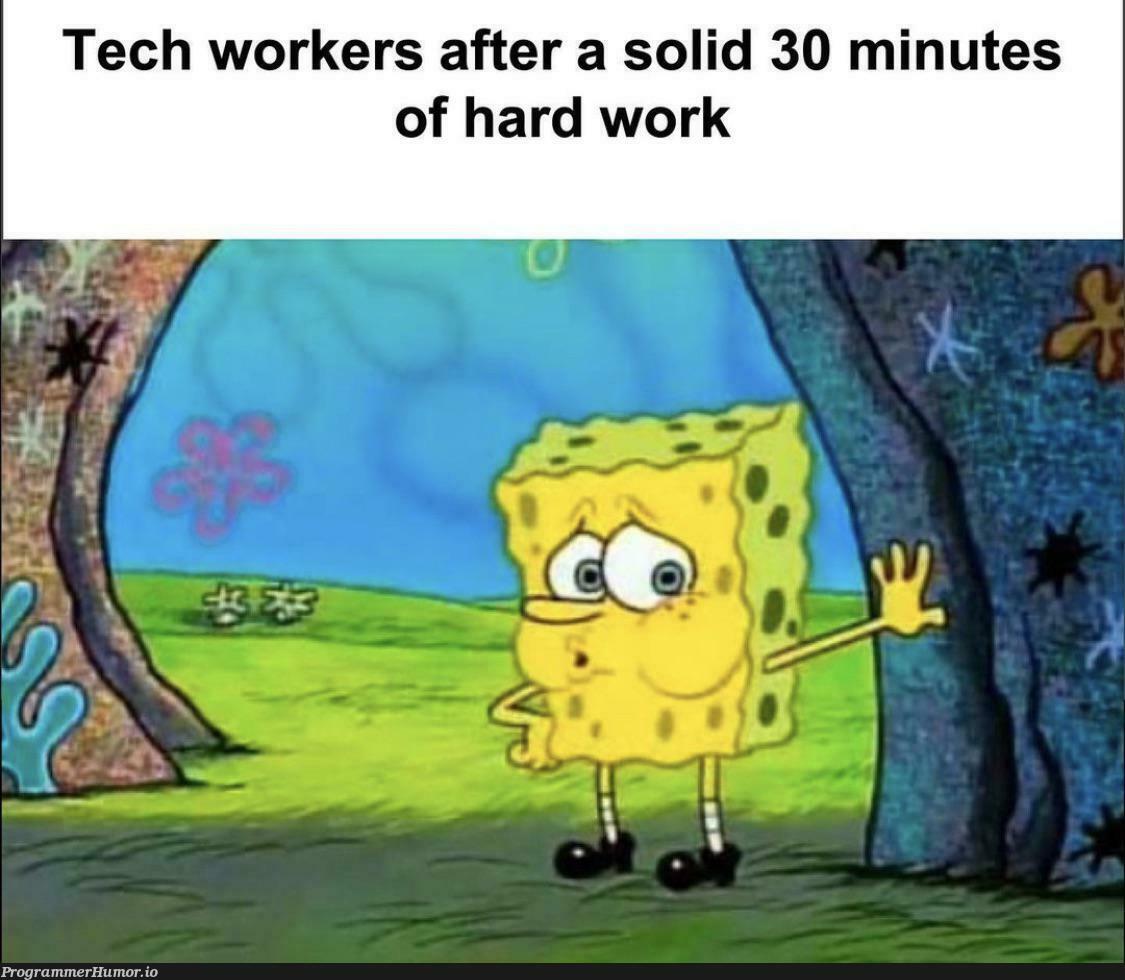 Hardworking developer
