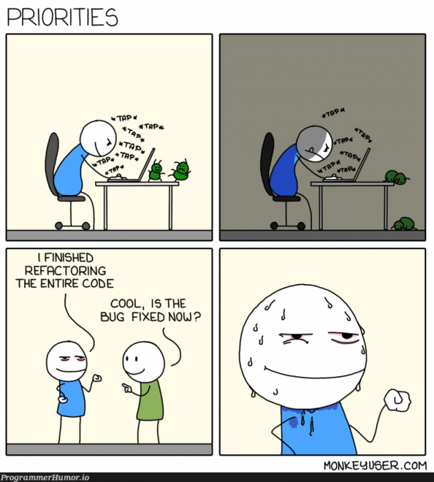 Developer fixing a bug