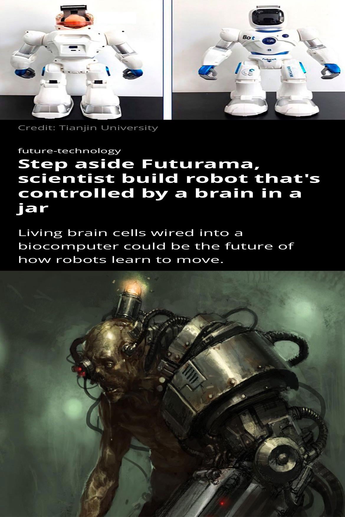 Evolution of intelligence